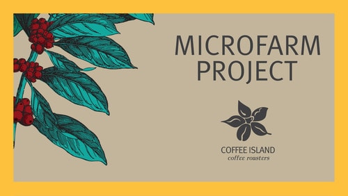 MicroFarm Project